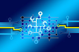 爱游戏中国官方登录入口网站-体育产业数字化转型路径与落地实践研究，体育产业数字化转型路径与落地实践研究论文