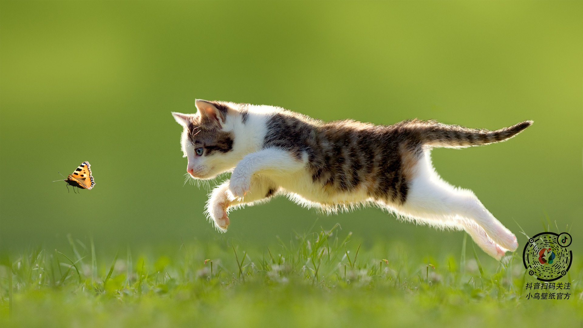 AYX GAME-辽宁飞豹展现强大团队凝聚力冲击总冠军，辽宁飞豹是什么企业