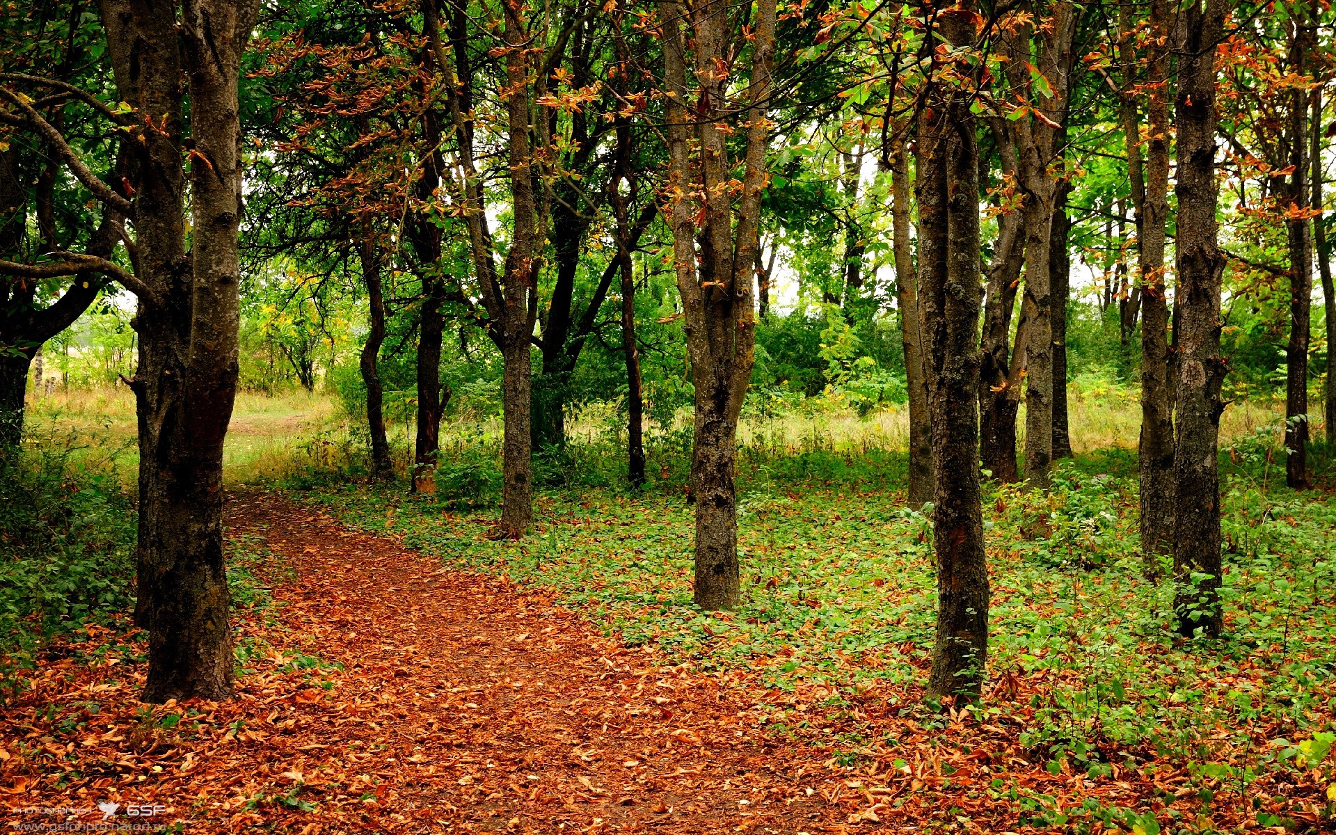 爱游戏下载-选手家属首次走进赛场分享支持背后故事