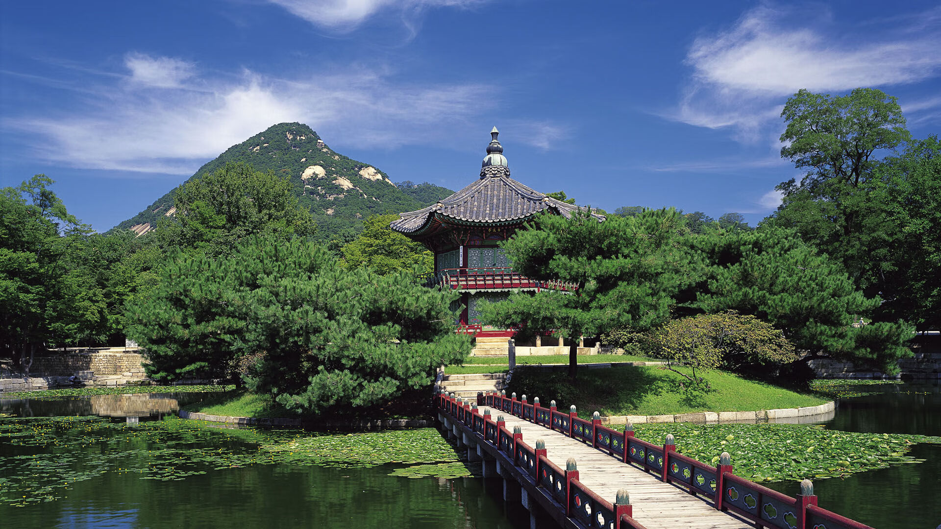 AYX官网-亚洲杯赛场冷门不断，黑马队伍成焦点，亚洲杯联赛