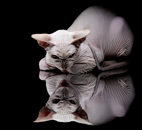 爱游戏体育app-国际赛季日程密集,球员轮换与康复成为关键,国际阵容