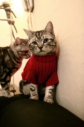 爱游戏娱乐平台-意甲速度激情:突破防线时刻让人惊叹!,意甲纪录