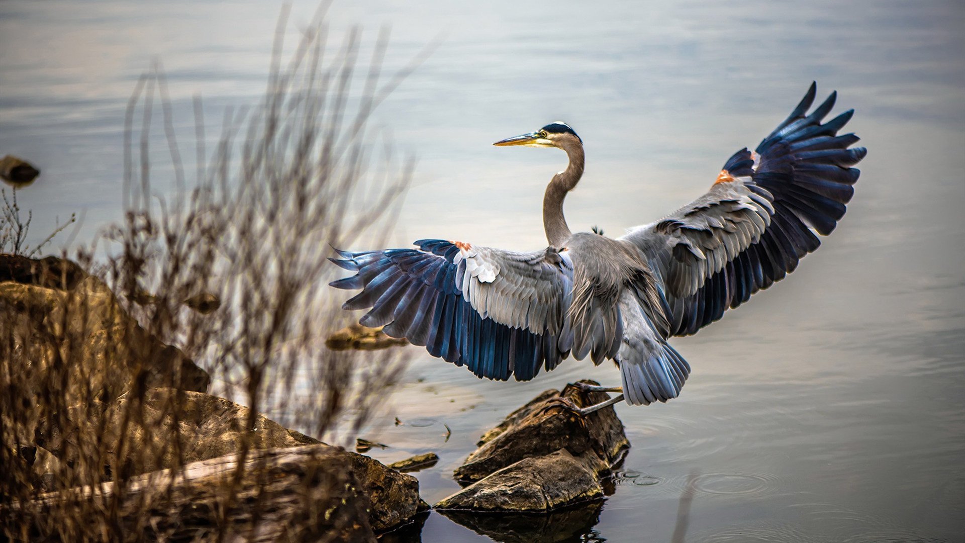 AYX SPORTS-数字化足球比赛监控系统实现智能分析，确保比赛公正透明，足现场足球实时大数据信息采集设备