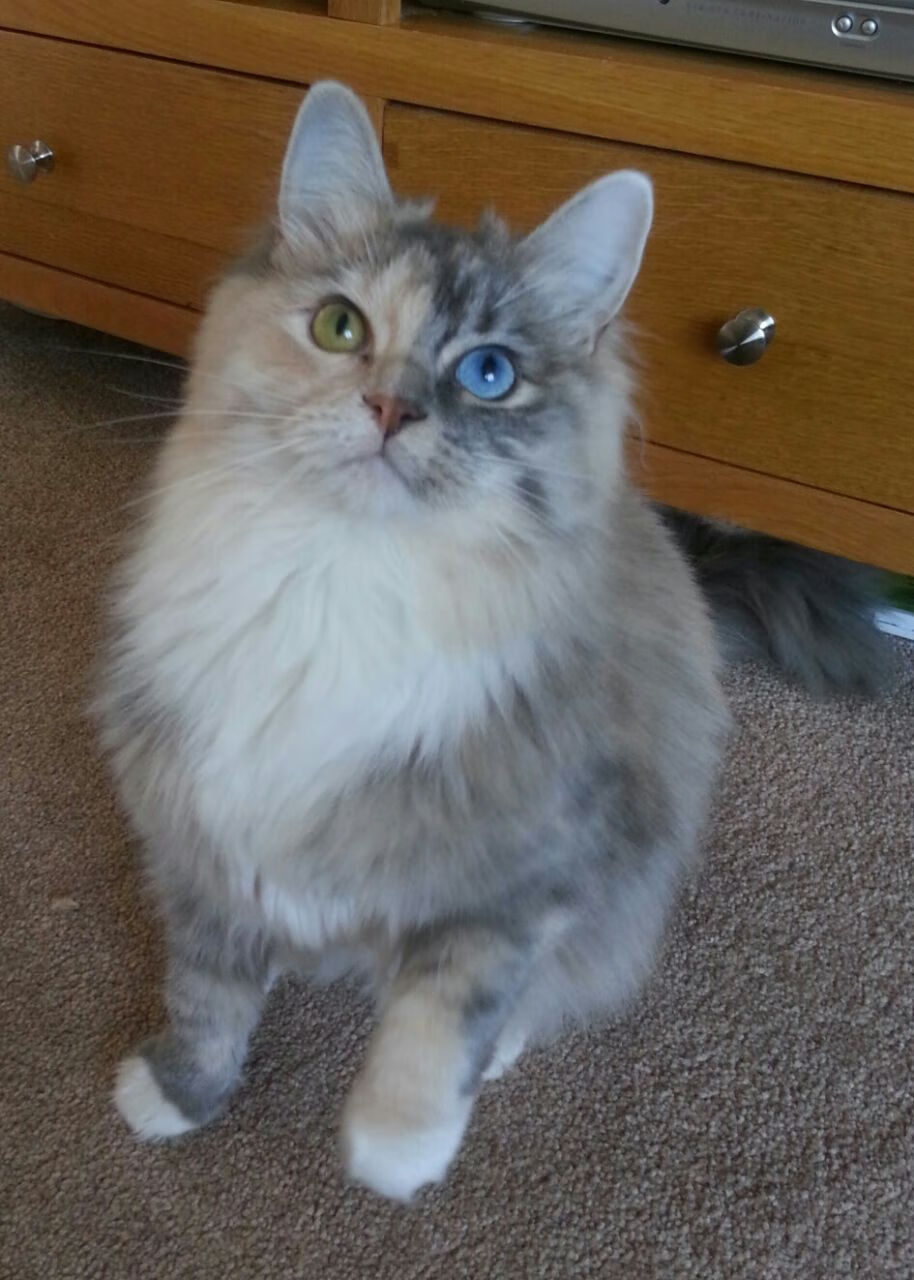 AYX体育-青训系统强化体测评估关注球员成长动态变化，青训球员标准