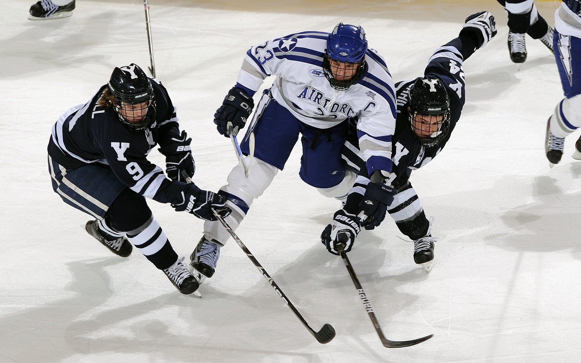 赛事筹备：场馆布置与安保措施升级，场馆布局